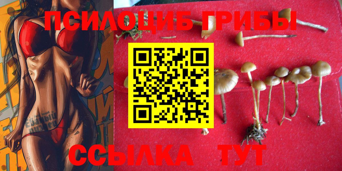 Спасск-Дальний  Псилоцибиновые грибы Cubensis  Вход с VPN 