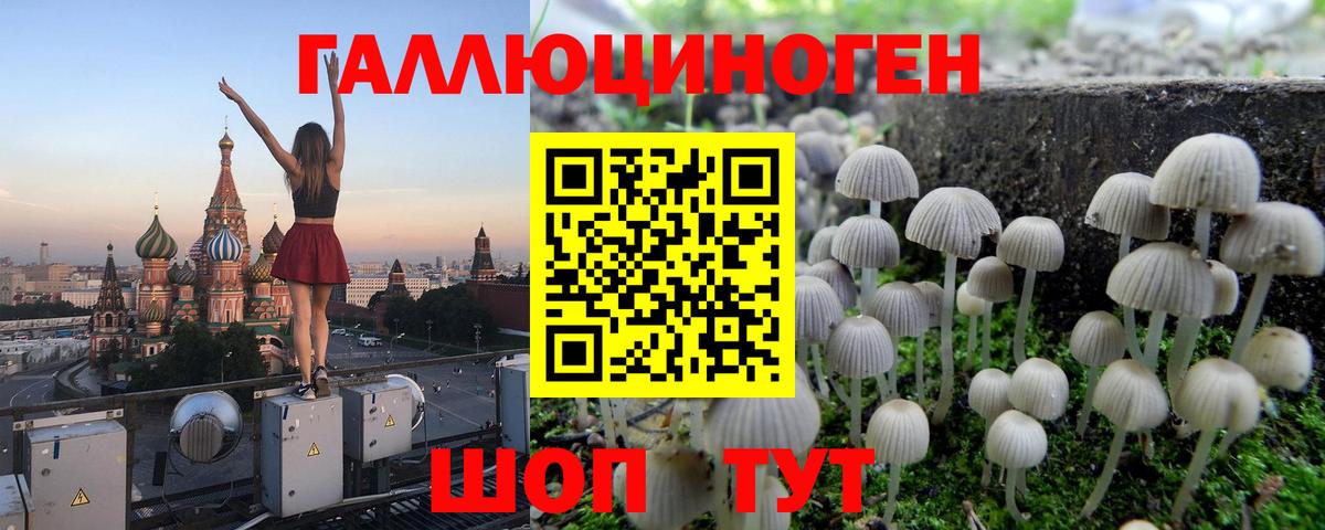 Галлюциногенные грибы ЛСД Спасск-Дальний